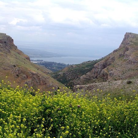 Arbel Holiday Homes Екстер'єр фото
