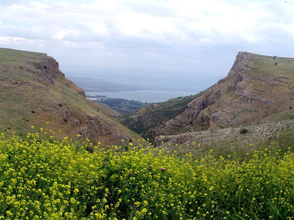 Arbel Holiday Homes Екстер'єр фото